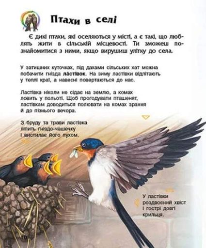 Енциклопедія дошкільника: Птахи (2101927)