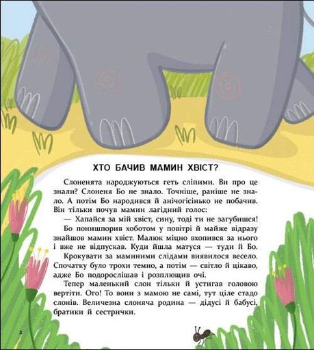 Книжка для читання. Хто бачив мамин хвіст? (2102123)