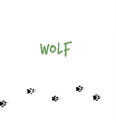 Forest Animals (2102468)