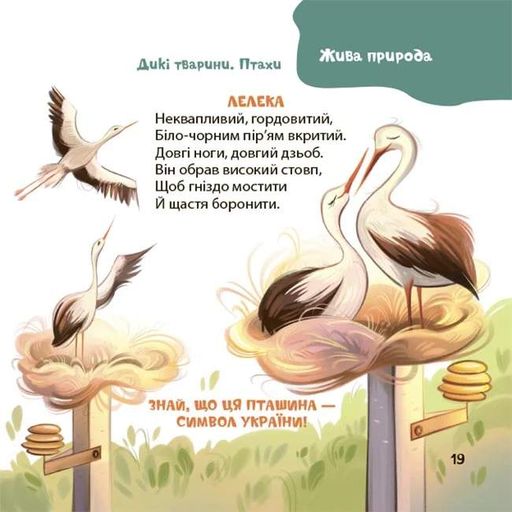 Віршенята-загадки для малят. 3–5 років (2102574)