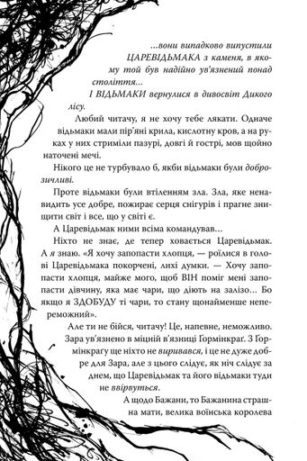 Були собі чаклуни. Чари другі. Книга 2 (2102679)