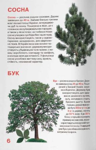 Велика книжка. Рослинний світ України (2102838)