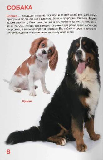 Велика книжка. Свійські тварини (2102839)