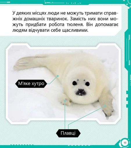 Робопарк і не тільки… Перше читання Non Fiction. Рівень 4 (2102905)