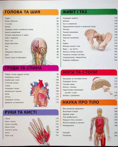 Енциклопедія знань. Тіло людини (2103125)
