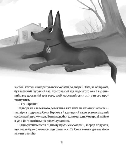 Жерар-партизан. Пригоди Жерара. Книга 2 (2103357)