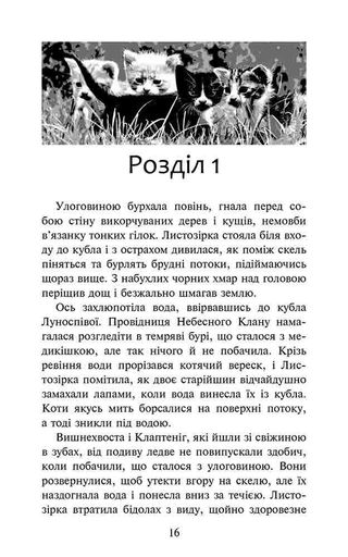 Коти-вояки. Доля Небесного Клану. Спеціальне видання (2103504)