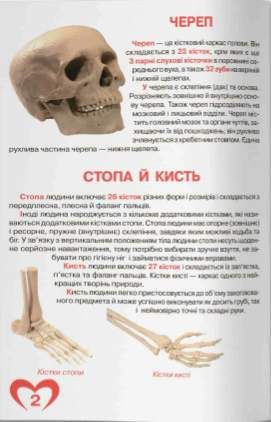 Велика книжка. Анатомія людини (2103617)