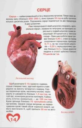 Велика книжка. Анатомія людини (2103617)
