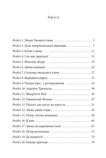 Пригоди Таємної сімки. Таємна сімка. Книга 2 (2103717)