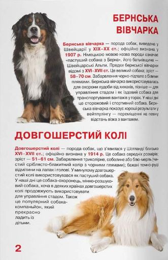 Велика книжка. Службові собаки (2103835)