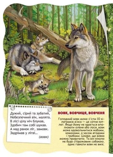Лісові тварини. Малятко-розумнятко (2104091)