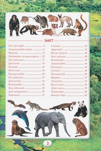 Ви маєте це знати. Світ звірів (2104246)