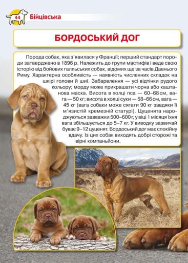 Енциклопедія. Собаки (2104253)
