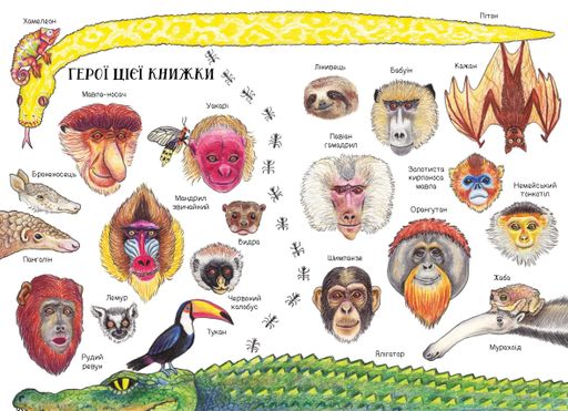 Носата красуня/ М. Пасіка (2104332)