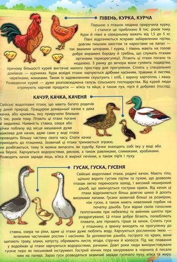 Енциклопедія з наліпками. Свійські тварини (2105027)