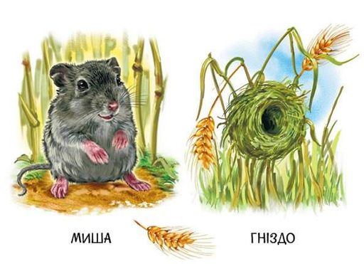 22 картинки. Хто живе у будиночку (2105139)