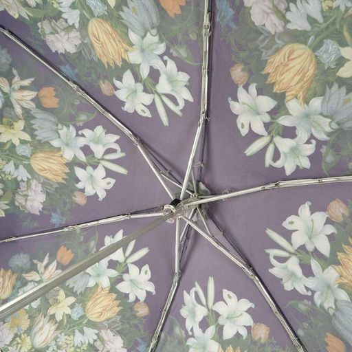 Парасолька жіноча Fulton L794-085297 National Gallery Tiny-2 Bosschaert (2106115)