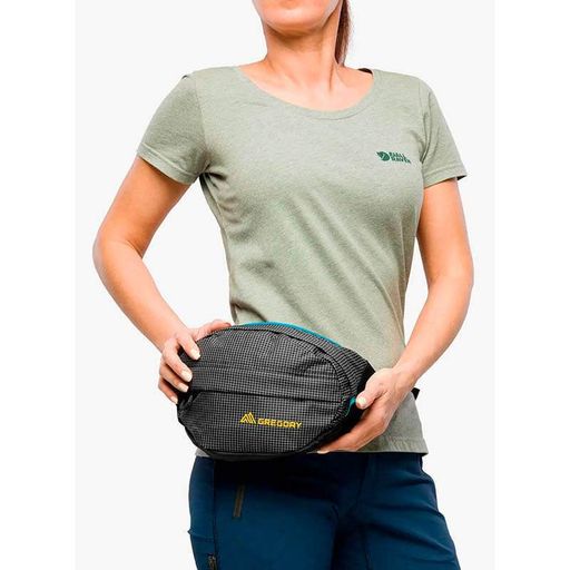 Поясна сумка Gregory Nano Waistpack 3.5 L Techno Black (126861/9969) (2108223)
