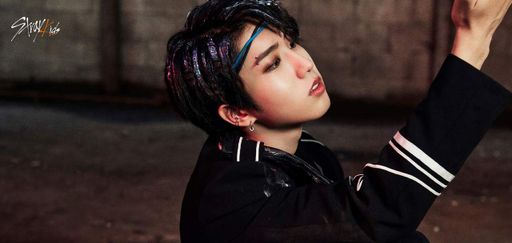 Кружка GeekLand Stray Kids Стрей Кидс SKZ 2.77 (2112358)