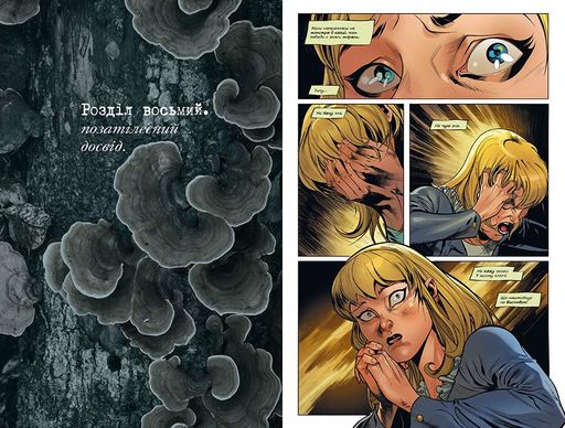 Комікс РМ DC Отруйний плющ Книга 2 Неетичне споживання  C RM B PI V2 (2114016)