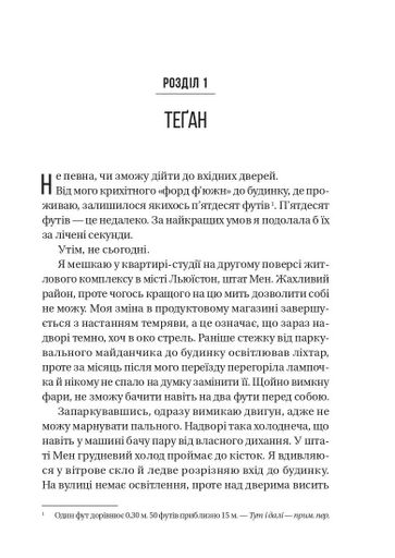 Буря Фріда Мак-Фадден (2122382)