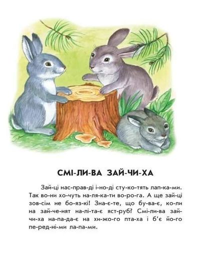 Лісовий концерт. 10 іс-то-рій по скла-дах (2133019)
