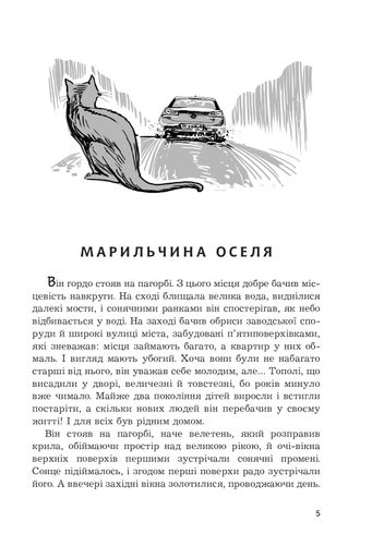 Чи бачать небеса котів (2136673)