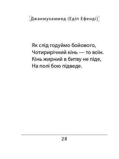 Сефернаме. Тогайбей (2139357)