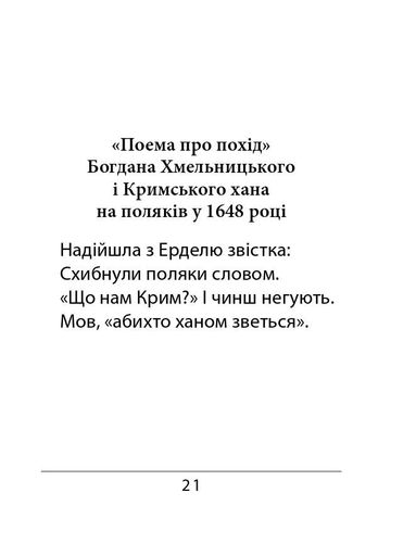 Сефернаме. Тогайбей (2139358)