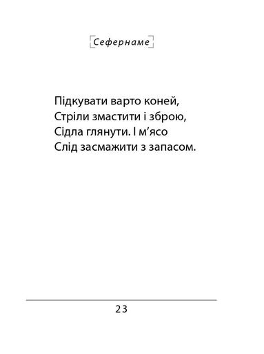 Сефернаме. Тогайбей (2139358)