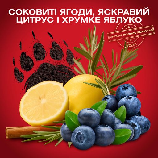 Аерозольний дезодорант Old Spice Bearglove, 150 мл