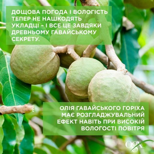 Шампунь OGX для увлажнения и гладкости волос с маслом гавайского