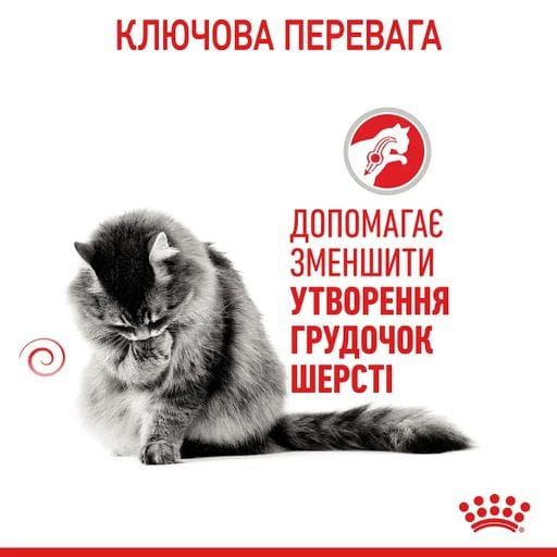 Сухой корм для кошек Royal Canin Hairball Care для уменьшения образования комочков шерсти