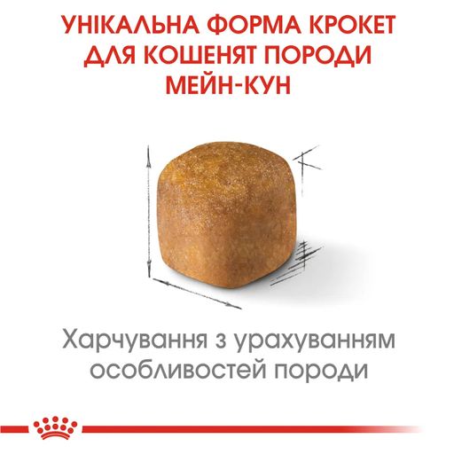 Сухий корм для кошенят породи мейн-кун Royal Canin Maine Coon Kitten