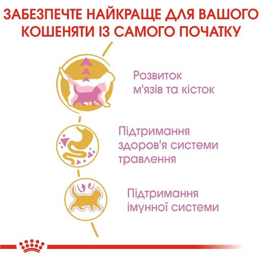 Сухой корм для котят породы британская короткошерстная Royal Canin British Shorthair Kitten