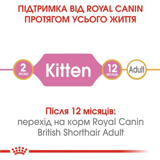Сухой корм для котят породы британская короткошерстная Royal Canin British Shorthair Kitten