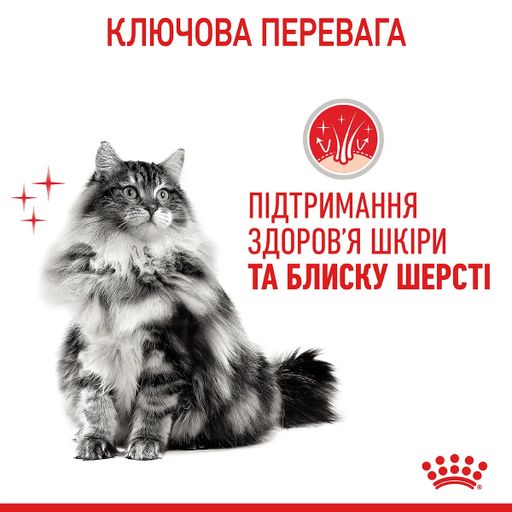 Вологий корм для дорослих котів Royal Canin Hair & Skin Care шматочки в желе, для підтримки здоров`я шкіри та шерсті, 85 г (41510010)
