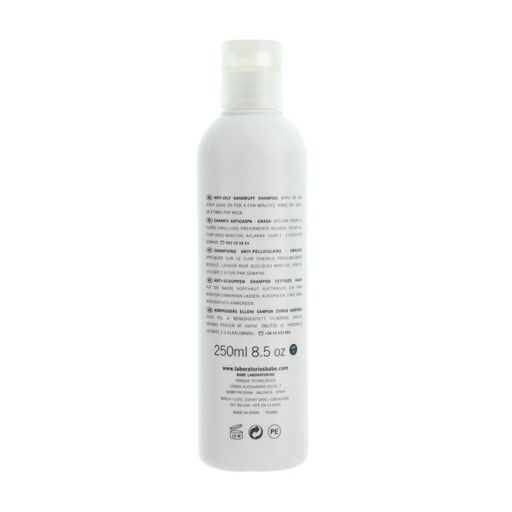 Шампунь проти лупи для жирної шкіри голови BABE Laboratorios Anti-Oily Dandruff Shampoo, 250 мл