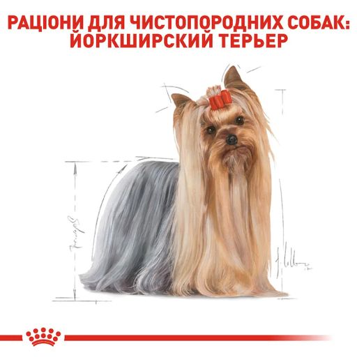 Сухой корм для взрослых собак породы йоркширский-терьер Royal Canin Yorkshire Terrier Adult