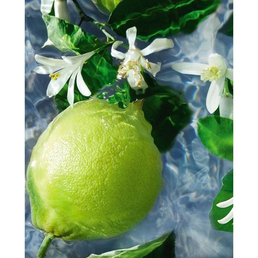 Уцінка! Guerlain Aqua Allegoria Bergamote Calabria Туалетна вода унісекс, 75 мл