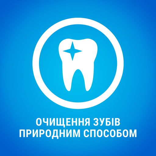 Ласощі для дорослих собак малих порід Purina Denta Life Small для здоров'я зубів і ясен, 115 г