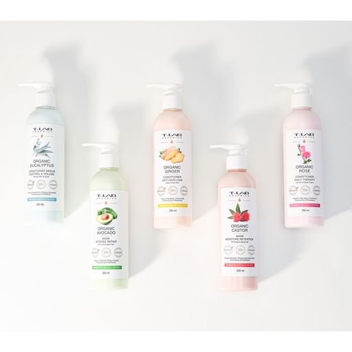Шампунь T-LAB Professional Organics Organic Eucalyptus Shampoo Sebum Control & Volume для жирных волос и кожи головы, 250 мл