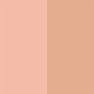 Бронзер для обличчя Annayake Duo Poudre Effet Bronzant, Mid, 10 г