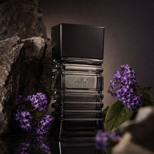Axis Elegant Grey Туалетна вода чоловіча, 100 мл