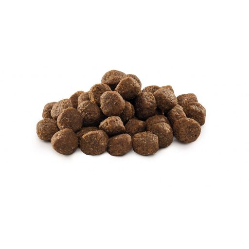 Сухой корм для молодых собак мелких пород Brit Premium Junior S со вкусом курицы, 8 кг