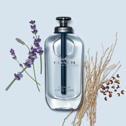 Coach Open Road Туалетна вода чоловіча, 100 мл (ТЕСТЕР)