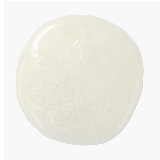 Питательный и восстанавливающий шампунь для волос Kevin.Murphy Blow.Dry Wash