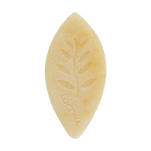 Твердый шампунь Logona Solid Care Shampoo для блеска волос, с коноплей и бузиной, 60 г