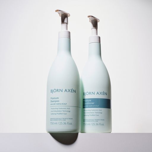 Зволожувальний шампунь Bjorn Axen Moisture Shampoo для сухого волосся та шкіри голови, 750 мл